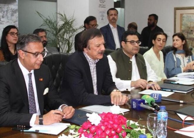 Microfinance lifeline of small business growth: CEO Mobilink Bank