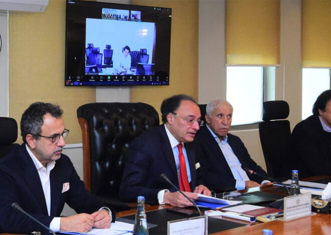 ECC approves TSGs, pays tribute to Dr. Shamshad Akhtar