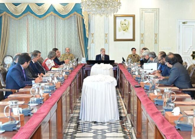 PM approves Halal Meat Export Policy, directs measures to increase export