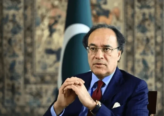 Finance minister reviews sectoral issues with telecom, VC firms