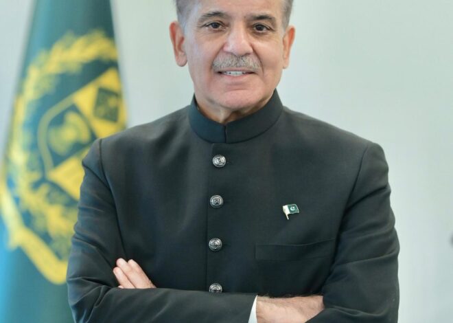 PM commends team on successful PIA privatization, orders to immediately offload all loss making entities