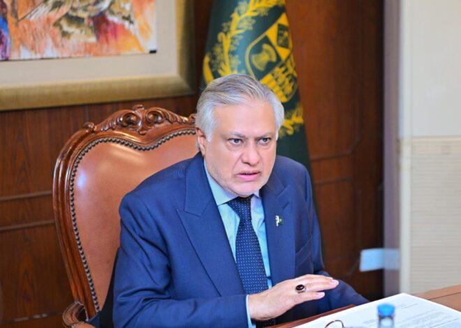 ECNEC approves 11 projects in various sectors