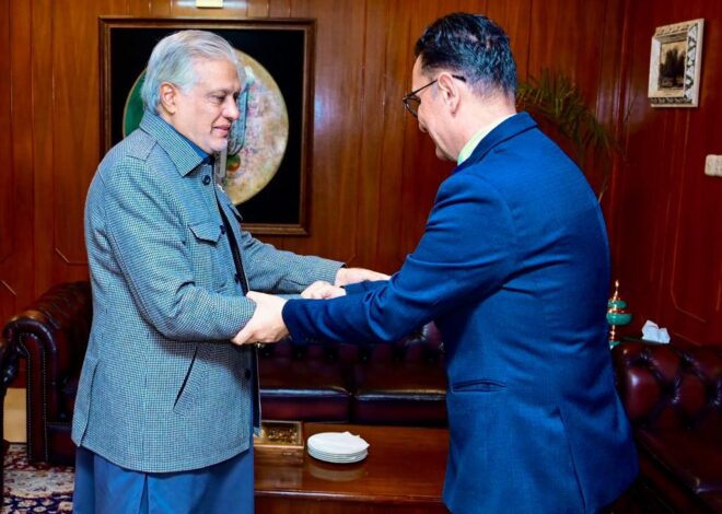 Tajikistan Amb. calls on DPM/FM Dar