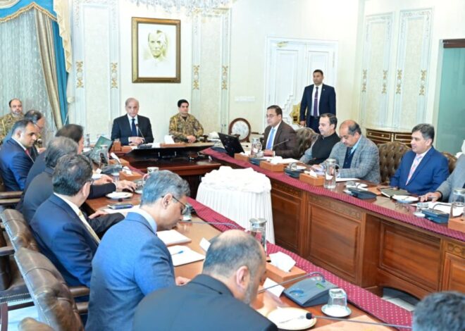 PM for further steps to boost business, economic activities at ports