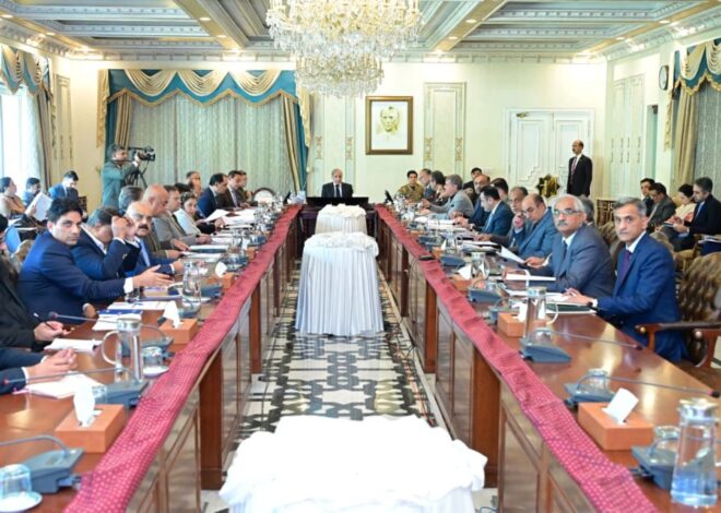 PM Shehbaz approves framework for comprehensive National Energy Plan