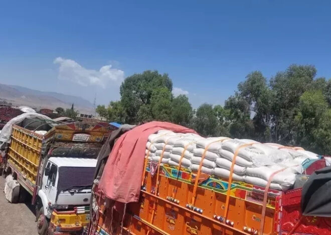 RTO-II Karachi detains three trucks Carrying 1,800 sugar bags with fake track, trace stamps
