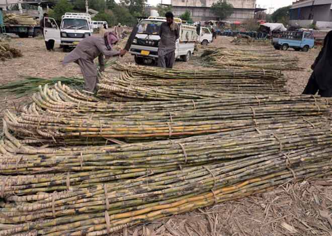 PSMA stresses uniform Sugarcane Development Cess