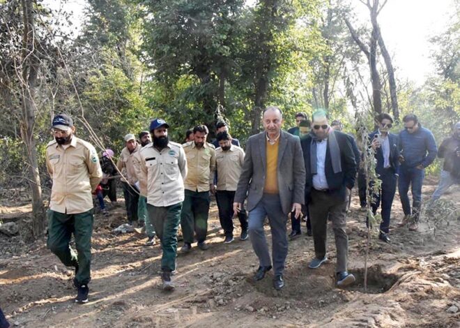 Federal Minister for Climate Change and Environmental Coordination Dr. Musadik Malik visits Shakarparian, where paper mulberry trees were recently removed and native trees planted