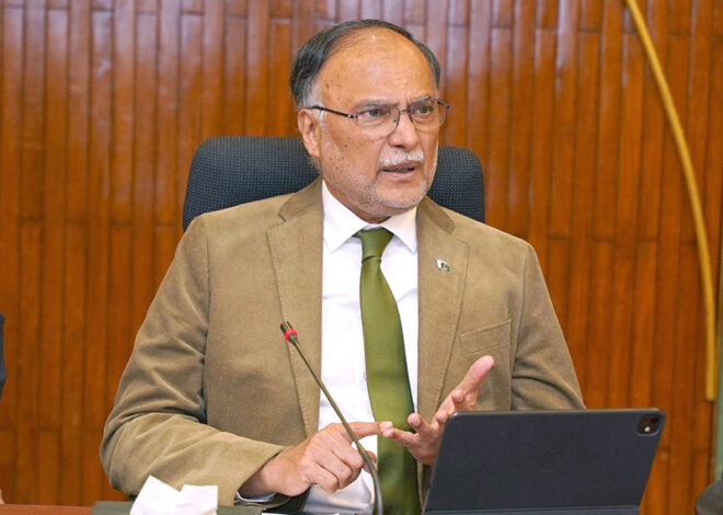 Ahsan urges data-driven growth as HIES signals economic turnaround