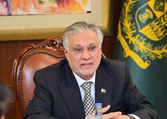 DPM Dar chairs meetings on diplomatic engagements, e-commerce ecosystem