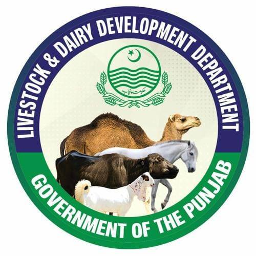 Sites selected for major animal health projects in Chiniot: Director Livestock