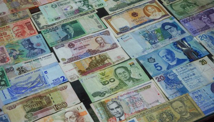 Currency rates of NBP