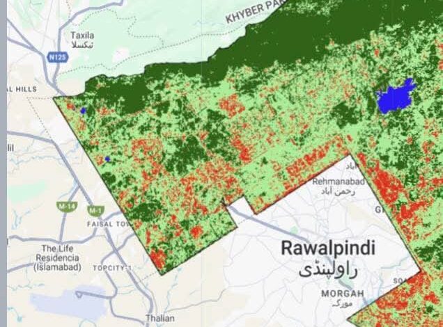 Science-based tree drive slashes pollen allergies in Islamabad
