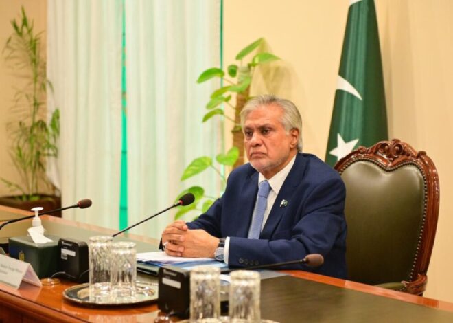 DPM Dar, Roeslani discuss strengthening Pakistan-Indonesia economic, investment partnership