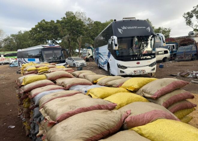 Customs Gadani seizes smuggled betel nuts, four passenger buses worth Rs. 252.5mln