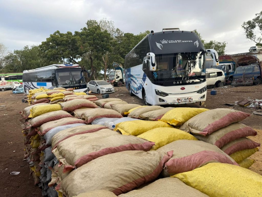 Customs Gadani seizes smuggled betel nuts, four passenger buses worth Rs. 252.5mln