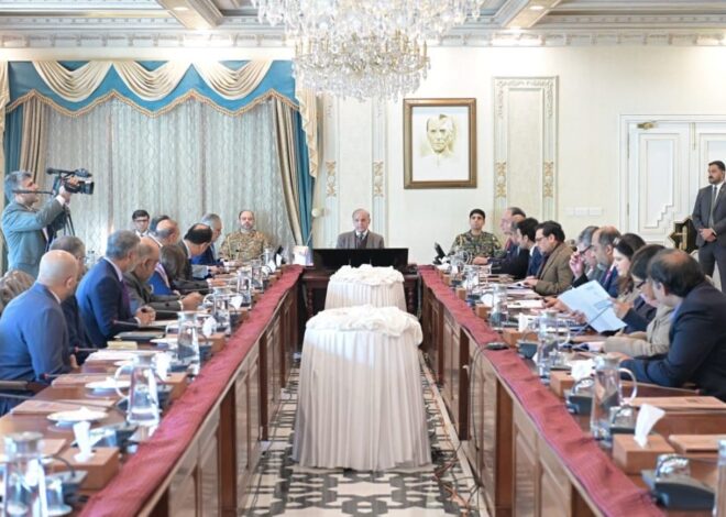 PM directs easing credit for SMEs, small farmers to boost economic inclusion