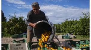 Turkiye CG calls tourism Low-Hanging Fruit for economic growth