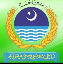 Skilled workforce imperative for governance: Dr Zulfiqar