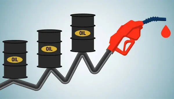 Petroleum Pricing Committee Reviews Reforms for Enhanced Transparency and Stability