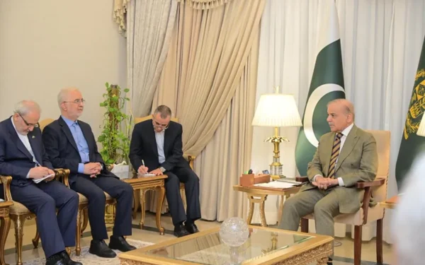 PM Shehbaz Sharif Reiterates Pakistan's Commitment To Regional Peace Stability
