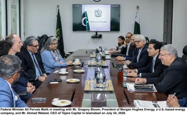 Ali Pervaiz Discusses Expanding Energy Sector Investment With Global Firms