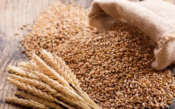 Government Reviews Wheat Distribution Strategy During High Level Board Meeting