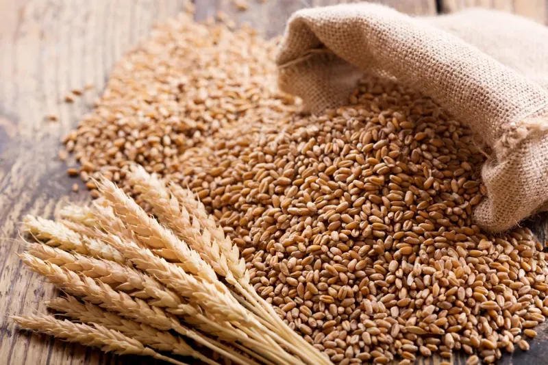 Government Reviews Wheat Distribution Strategy During High Level Board Meeting