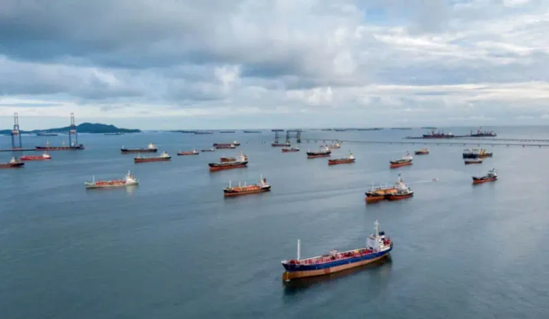 Strait of Hormuz Shipping Congestion Threatens Global Marine Biodiversity