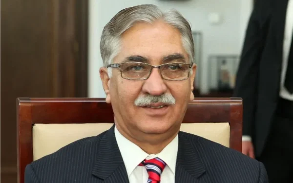 Issue of New Administrative Units to Be Taken Up by PPP's Central Executive