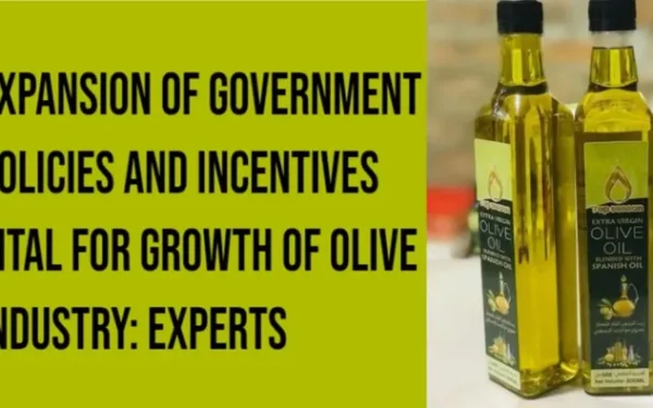 Expansion of Government Policies and Incentives Vital for Growth of Olive