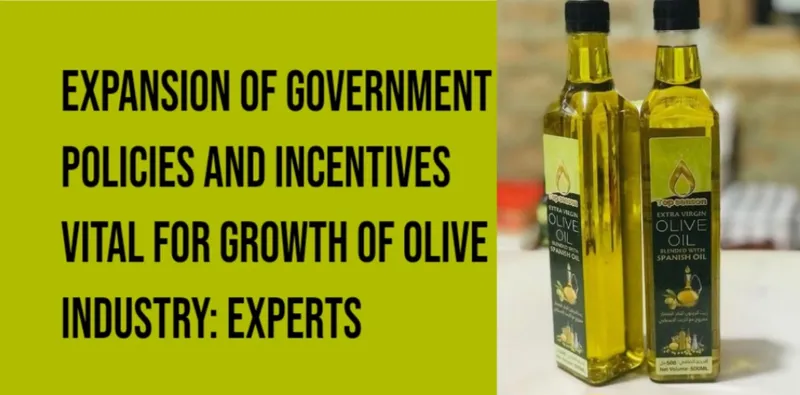 Expansion of Government Policies and Incentives Vital for Growth of Olive