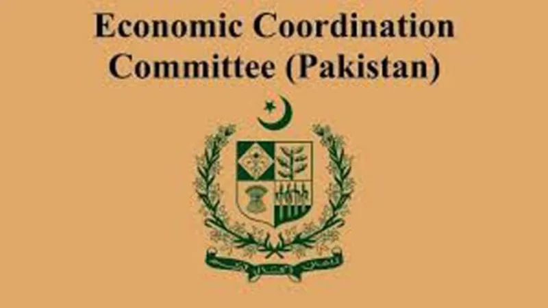 Finance Minister Aurangzeb Chairs ECC Meeting Approving Critical Infrastructure Funds