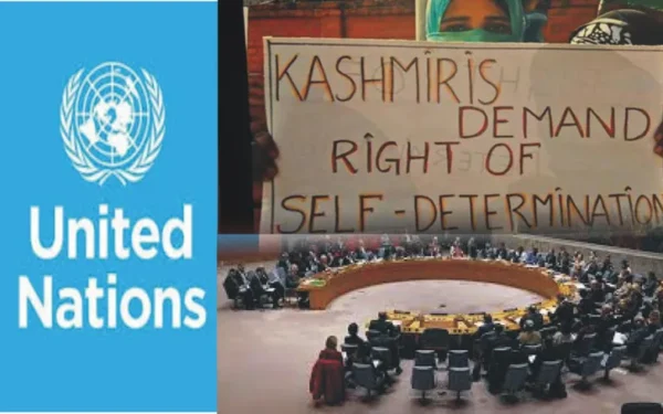 Pakistan Denounces India's Kashmir Annexation as State Terrorism at UN