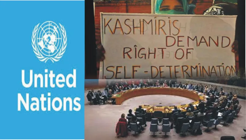 Pakistan Denounces India's Kashmir Annexation as State Terrorism at UN