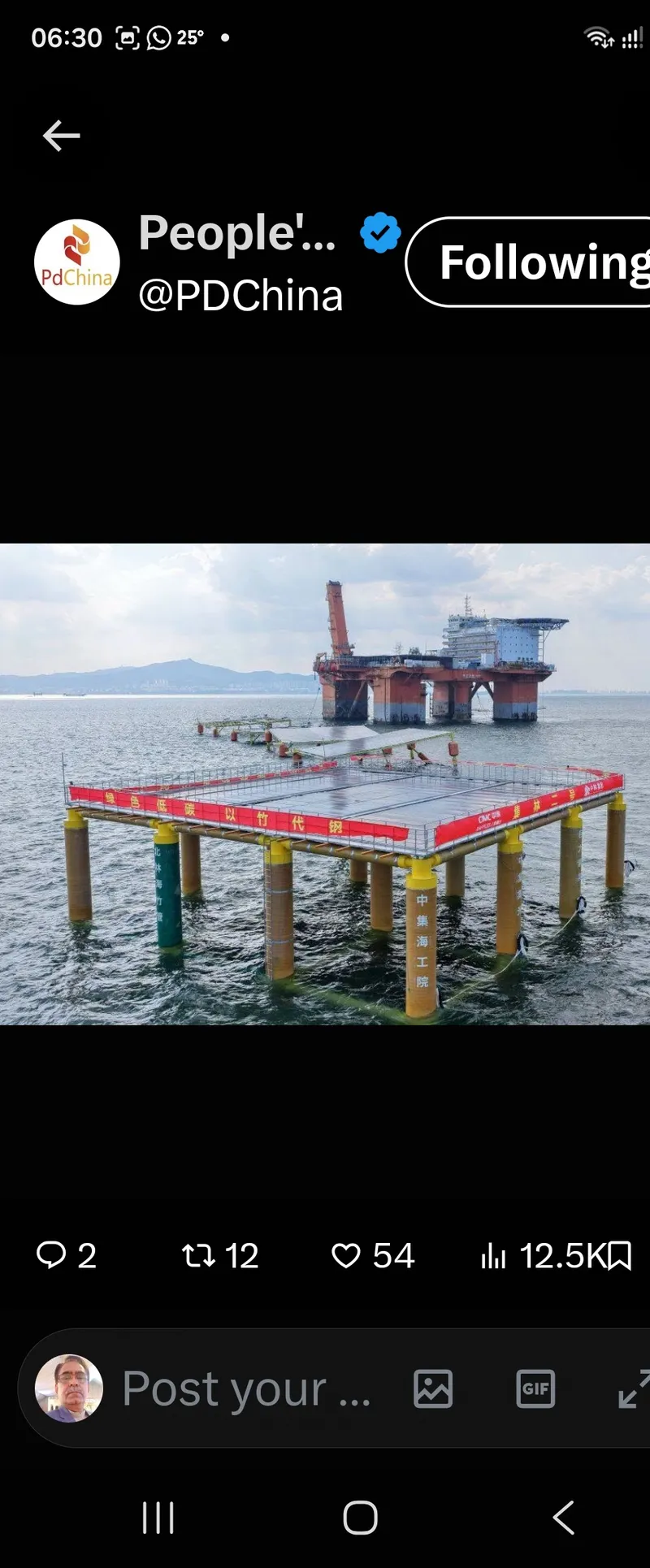 China Builds World's First Bamboo-Based Offshore Solar Platform (Image 3)