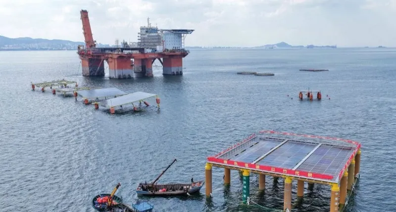 China Builds World's First Bamboo-Based Offshore Solar Platform (Image 2)
