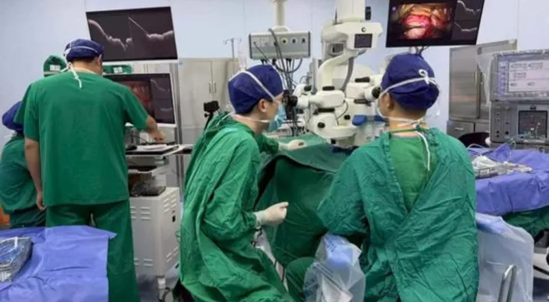 Chinese Woman Regains Visual Function After Brain-Computer Interface Implant (Image 3)