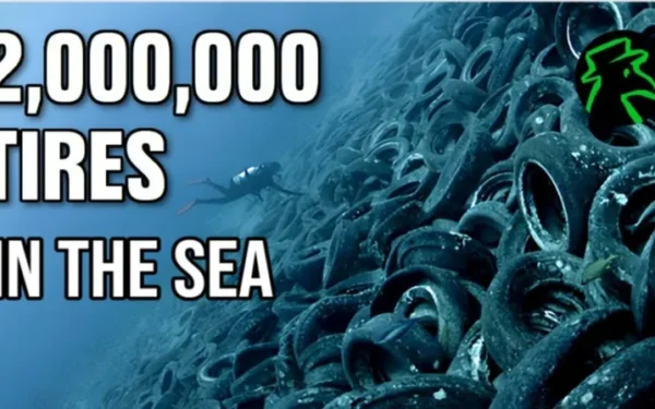 US Plan to Improve Marine Environment Turns into a Decades-Long Environmental Disaster