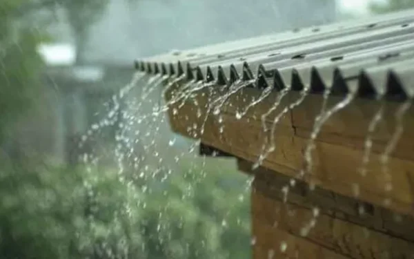 Harvesting Rainwater from Rooftops Could Reduce Urban Heat and Air-Conditioning Demand
