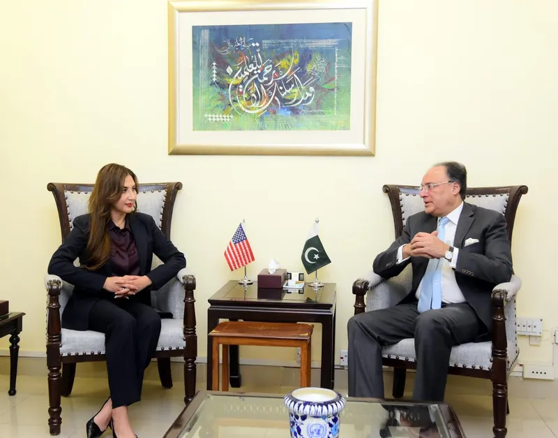 Finance Minister Muhammad Aurangzeb Discusses Bilateral Economic Ties With Natalie Baker