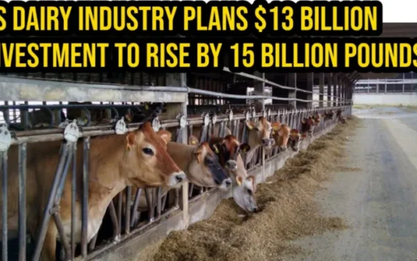 US Dairy Industry Plans $13 Billion Investment; Fewer Farms but Milk Production to Rise by 15 Billion Pounds