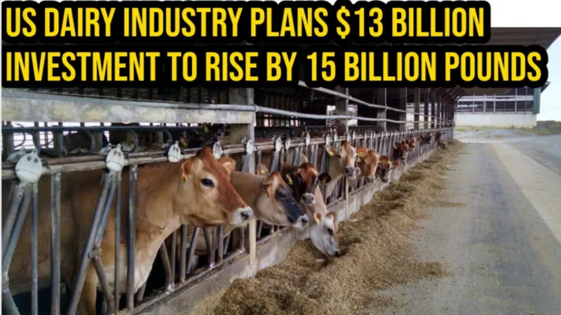 US Dairy Industry Plans $13 Billion Investment; Fewer Farms but Milk Production to Rise by 15 Billion Pounds