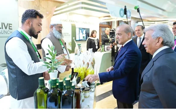 Prime Minister Shehbaz Sharif Launches National Olive Value Chain Policy (Image 1)