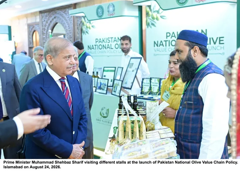 Prime Minister Shehbaz Sharif Launches National Olive Value Chain Policy (Image 5)