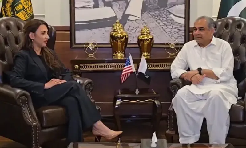 Interior Minister Mohsin Naqvi Discusses Regional Stability With Ambassador Baker