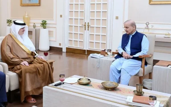 Ambassador of Saudi Arabia Pays Farewell Call on the Prime Minister