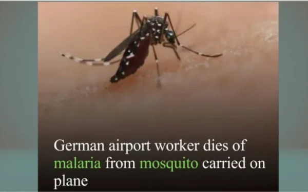 Frankfurt Airport Reports Six Malaria Cases, One Employee Dies, Five Under Treatment