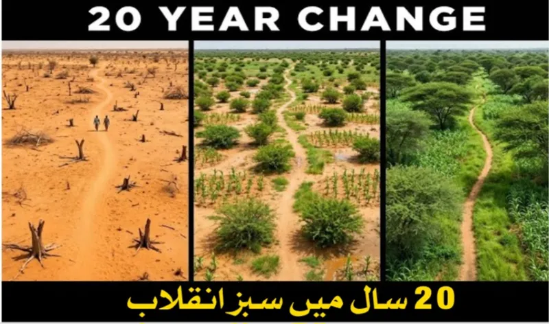 Niger Restores 12.4 Million Acres of Land Without Planting a Single New Tree, 200 Million Trees Regrow