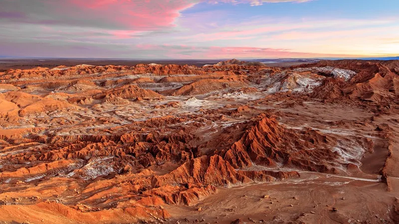 100 Years Without Rain in Chile’s Atacama Desert, Where Sea Fog Provides a Vital Water Source (Image 5)